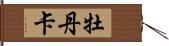 牡丹卡 Hand Scroll