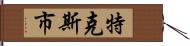 特克斯市 Hand Scroll