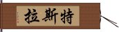 特斯拉 Hand Scroll