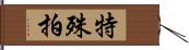 特殊拍 Hand Scroll