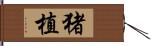 猪植 Hand Scroll