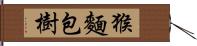 猴麵包樹 Hand Scroll