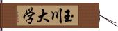 玉川大学 Hand Scroll