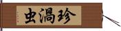 珍渦虫 Hand Scroll