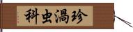 珍渦虫科 Hand Scroll