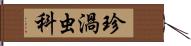 珍渦虫科 Hand Scroll