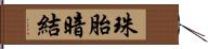 珠胎暗結 Hand Scroll