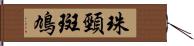 珠頸斑鳩 Hand Scroll