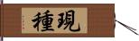 現種 Hand Scroll