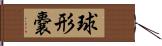 球形嚢 Hand Scroll