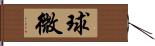 球微 Hand Scroll