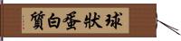 球狀蛋白質 Hand Scroll