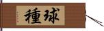 球種 Hand Scroll