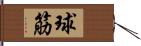 球筋 Hand Scroll