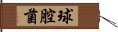 球腔菌 Hand Scroll