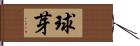 球芽 Hand Scroll