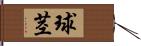 球茎 Hand Scroll