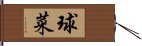 球菜 Hand Scroll