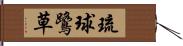 琉球鷺草 Hand Scroll