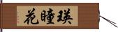 瑛瞳花 Hand Scroll