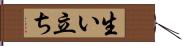 生い立ち Hand Scroll