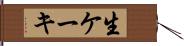 生ケーキ Hand Scroll