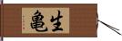 生亀 Hand Scroll