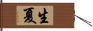 生夏 Hand Scroll