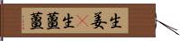 生姜(P) Hand Scroll