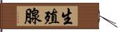 生殖腺 Hand Scroll