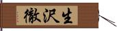 生沢徹 Hand Scroll