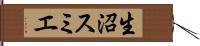 生沼スミエ Hand Scroll
