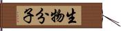 生物分子 Hand Scroll