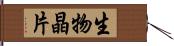 生物晶片 Hand Scroll