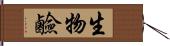 生物鹼 Hand Scroll