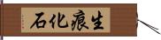 生痕化石 Hand Scroll