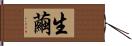 生繭 Hand Scroll