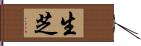 生芝 Hand Scroll