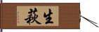 生萩 Hand Scroll