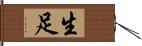 生足 Hand Scroll