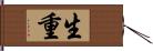 生重 Hand Scroll