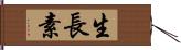 生長素 Hand Scroll
