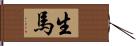 生馬 Hand Scroll