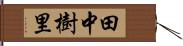 田中樹里 Hand Scroll
