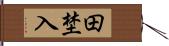 田埜入 Hand Scroll