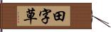 田字草 Hand Scroll