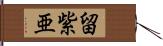 留紫亜 Hand Scroll