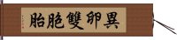 異卵雙胞胎 Hand Scroll