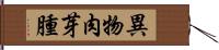 異物肉芽腫 Hand Scroll