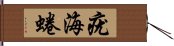 疣海蜷 Hand Scroll